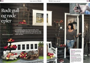 Gundas røde epler, HJEM s.1-2