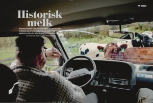 Tjukkmjølk, Ren Mat s.1-2