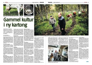 Tjukkmjølka, Arbeidets Rett s.1-2