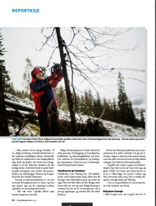 Skogens menn, fysio, s.2